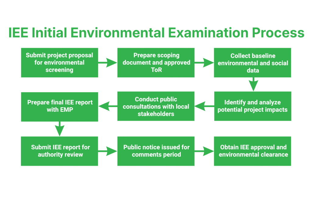 IEE Initial Environmental Examination Process: Step-by-Step