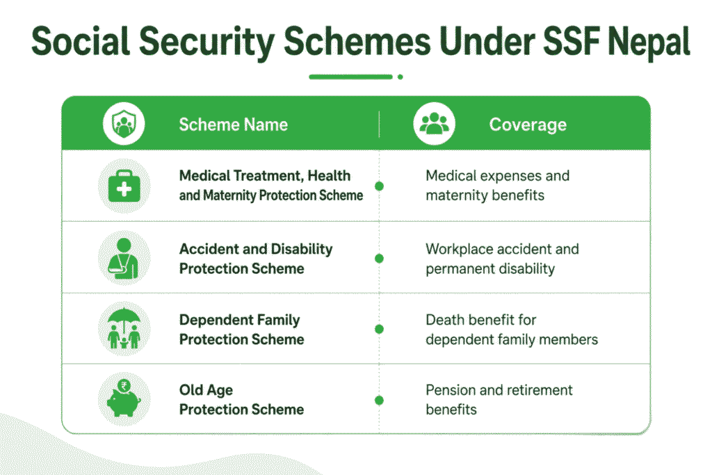 What Are the Social Security Schemes Under SSF Nepal?