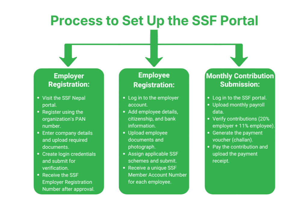 How to Set Up the SSF Portal: Step-by-Step Process
