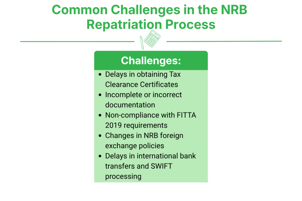 Nepal Rastra Bank Repatriation Process in Nepal 4 Common Challenges in the NRB Repatriation Process